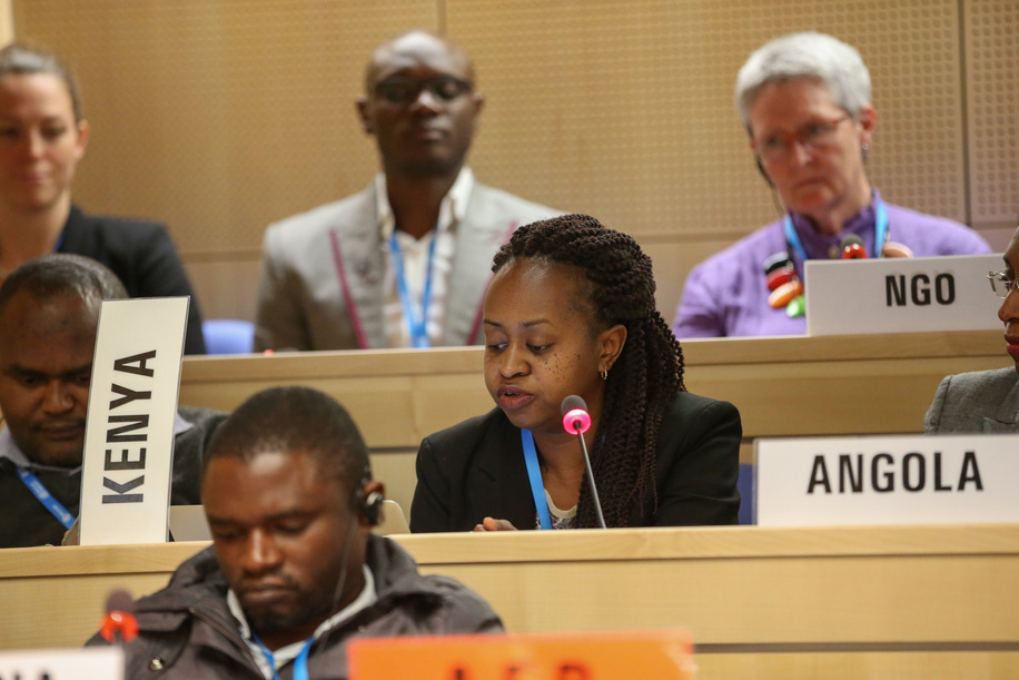 The First Session of the Meeting of the Parties ( MOP) to the Protocol to Eliminate Illicit Trade in Tobacco Products took place in Geneva, Switzerland from 8 to 10 October 2018. The three-day session was the first gathering of the Parties to the Protocol to Eliminate Illicit Trade in Tobacco Products, following the treaty’s entry into force on 25 September 2018. Representatives of all 44 Parties to the Protocol took part. Also present were representatives of 56 Parties to the WHO Framework Convention on Tobacco Control (WHO FCTC) that were not Party to the Protocol, four international intergovernmental organizations and nine nongovernmental organizations (NGOs), accredited as observers. https://fctc.who.int/protocol/governance/meeting-of-the-parties-of-the-parties/first-session-of-the-meeting-of-the-parties